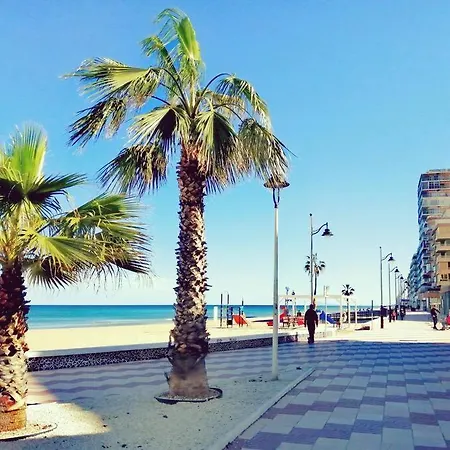 Apartament Magnifique Bord De *