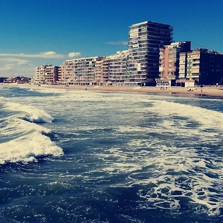 Magnifique Bord De Perelló